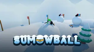 SUMOWBALL