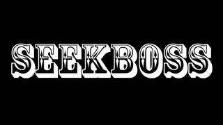SEEKBOSS
