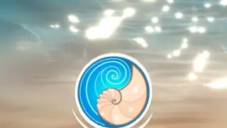 Seashell - Switch