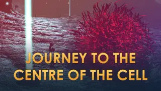 Journey to the Centre of the Cell