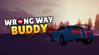 Wrong Way Buddy