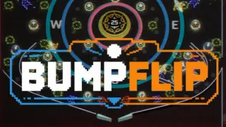 BumpFlip