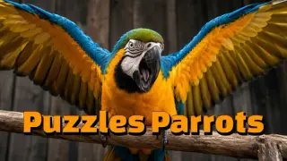 Puzzles Parrots