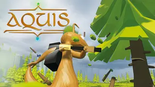 Aquis