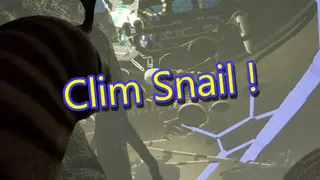 Timid snail