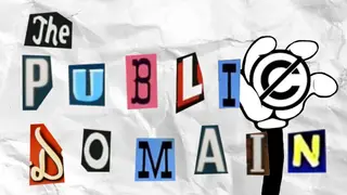 The Public Domain: The Game