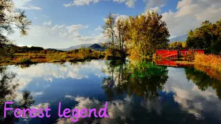 Forest legend