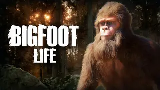 Bigfoot Life