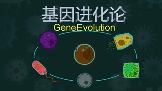 GeneEvolution