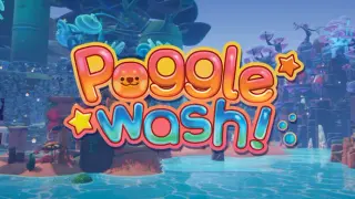 Pogglewash