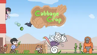 Cabbage Crop