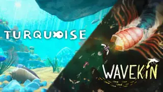 Under the Sea