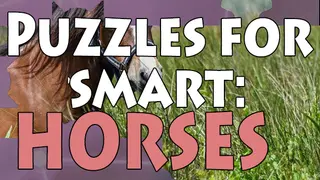 Puzzles for smart: Horses