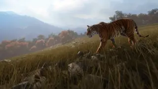 theHunter: Call of the Wild - Sundarpatan Nepal Hunting Reserve - PS4