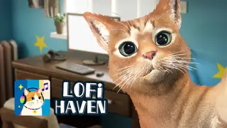 Lofi Haven
