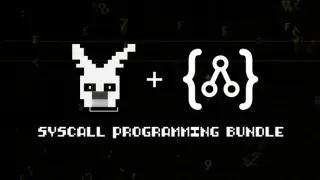 SYSCALL Programming