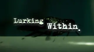 Lurking Within