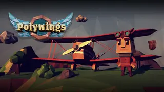 Polywings