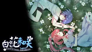 Flowerless Gardenia 白花未咲