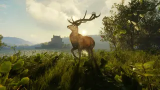 theHunter: Call of the Wild - Scotland Hunting Reserve - PS4