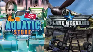 Plane Mechanic in Aquatic Store