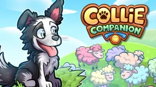 Collie Companion