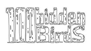 100 hidden birds