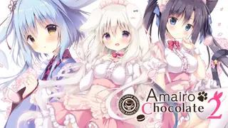 Amairo Chocolate 2