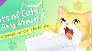 Lots of Cats in Every Moment: The Whereabouts of the Photo
