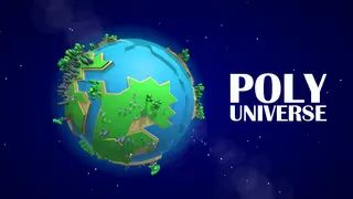 Poly Universe