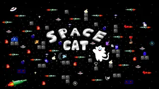 Space Cat