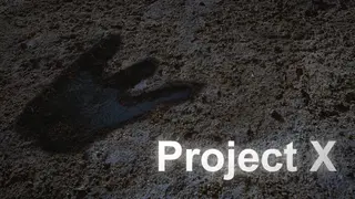 Project X