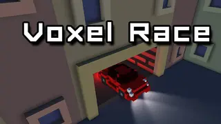 Voxel Race