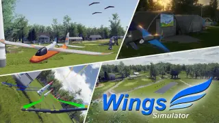 Wings Simulator