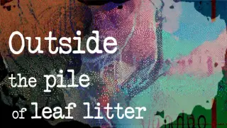 Outside the pile of leaf litter