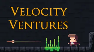 Velocity Ventures