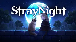 Stray Night