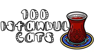 100 Istanbul Cats