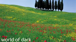 world of dark