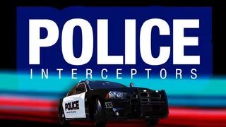 Police Interceptors