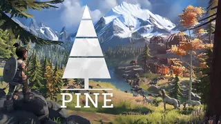 Pine