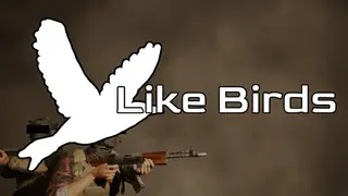 Like Birds