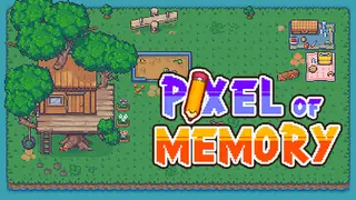 Pixel of Memory