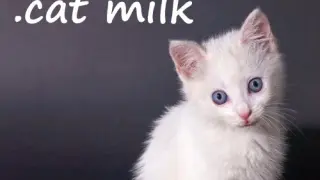 .cat Milk - Switch