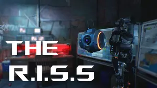 TheRISS