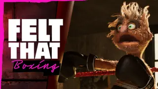 Felt That: Boxing