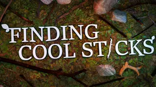 Finding Cool Sticks