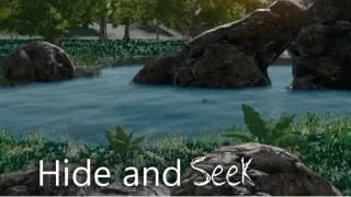 Hide and Seek