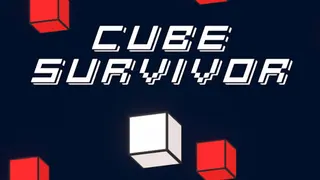 Cube Survivor