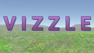 Vizzle